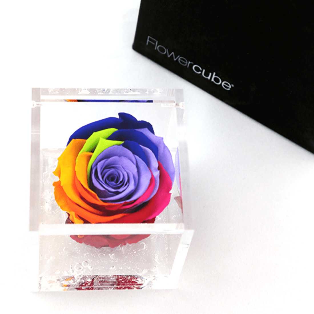 FlowerCube Rainbow 6x6 cm shop online