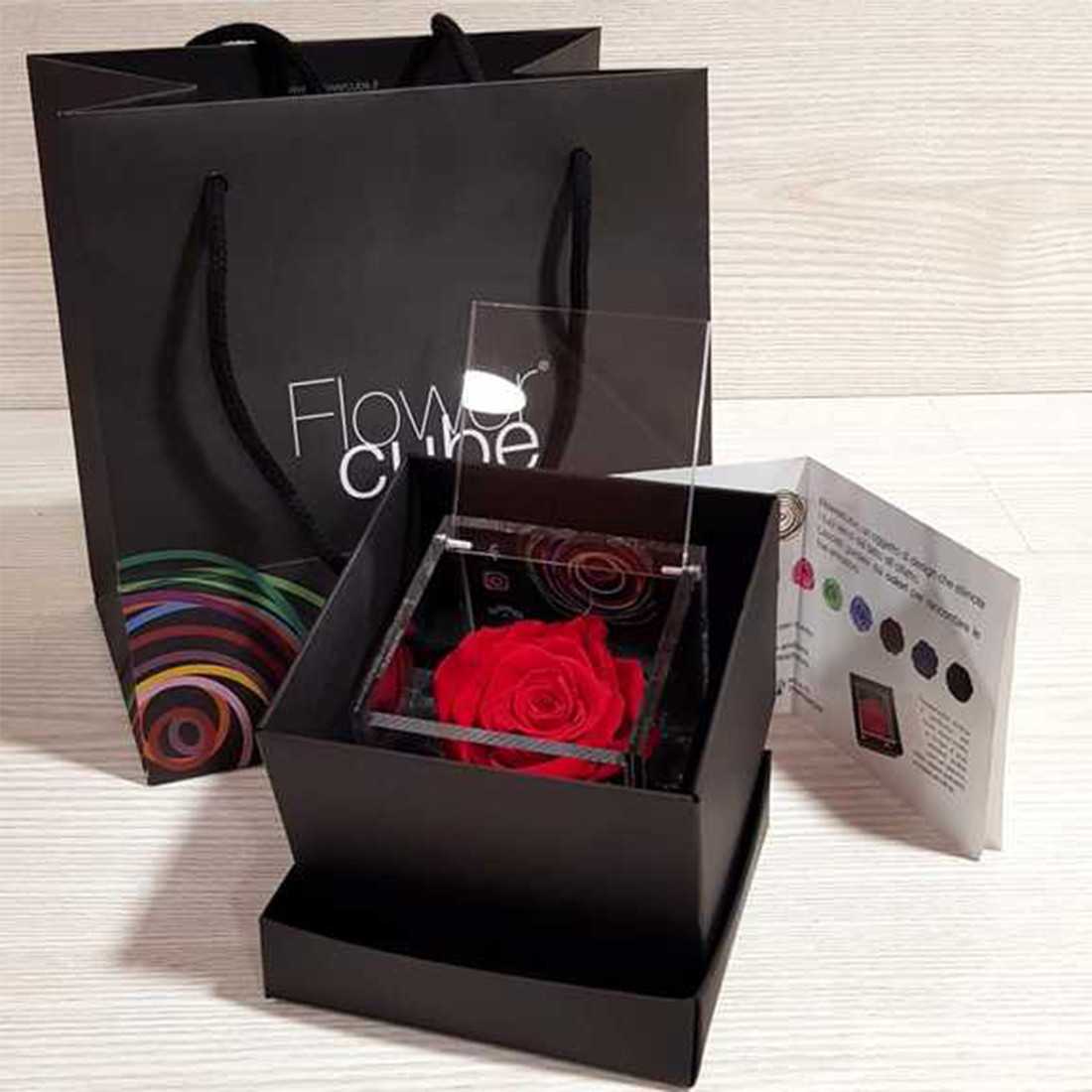 FlowerCube 8x8 cm shop online