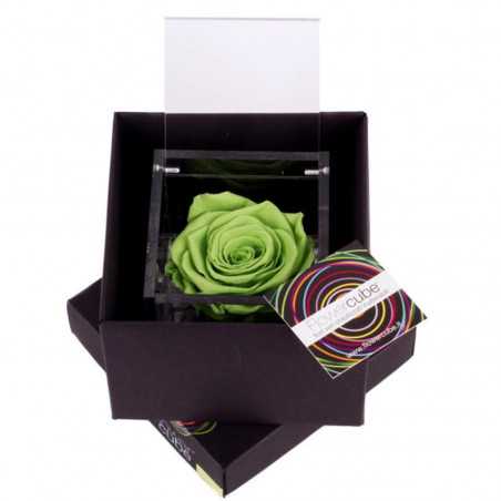 FlowerCube Verde 10x10 cm shop online