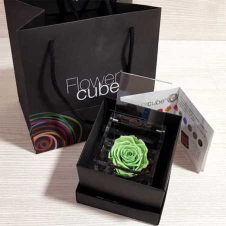 FlowerCube Verde 10x10 cm shop online