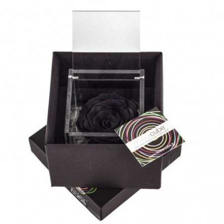 FlowerCube Nero 6x6 cm shop online