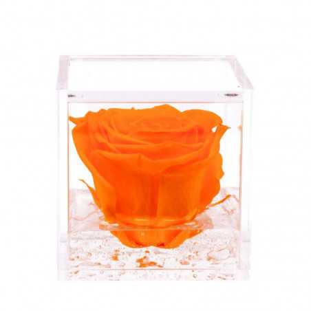 FlowerCube Arancio 8x8 cm shop online
