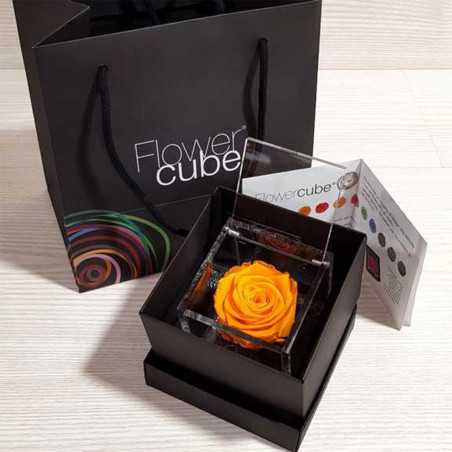 FlowerCube Arancio 10x10 cm shop online