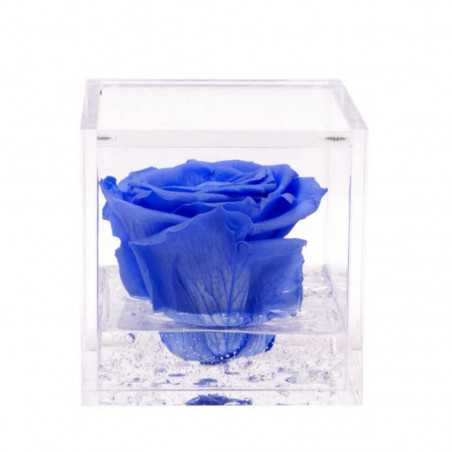 FlowerCube Azzurro 6x6 cm shop online