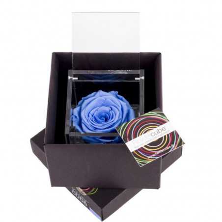 FlowerCube Azzurro 8x8 cm shop online