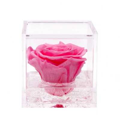 Flower Cube rosa blu 10x10 (Cod.263) - Fioraio Roma