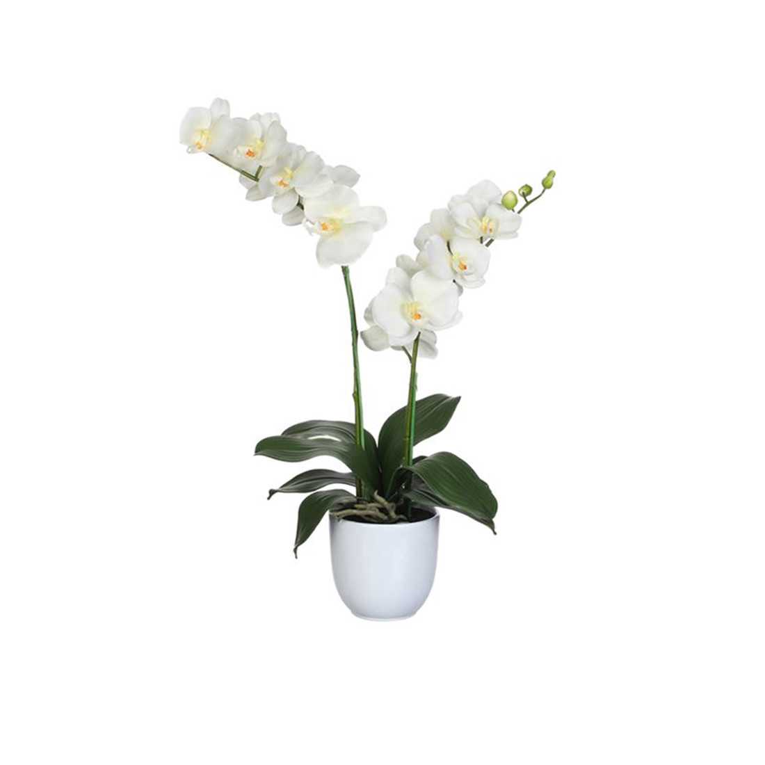 Orchidea Phalaenopsis Artificiale h c.a. 50cm shop online