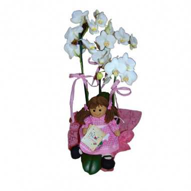 Orchidea Phalaenopsis Con Bambola MyDoll E Vaso Ceramica shop