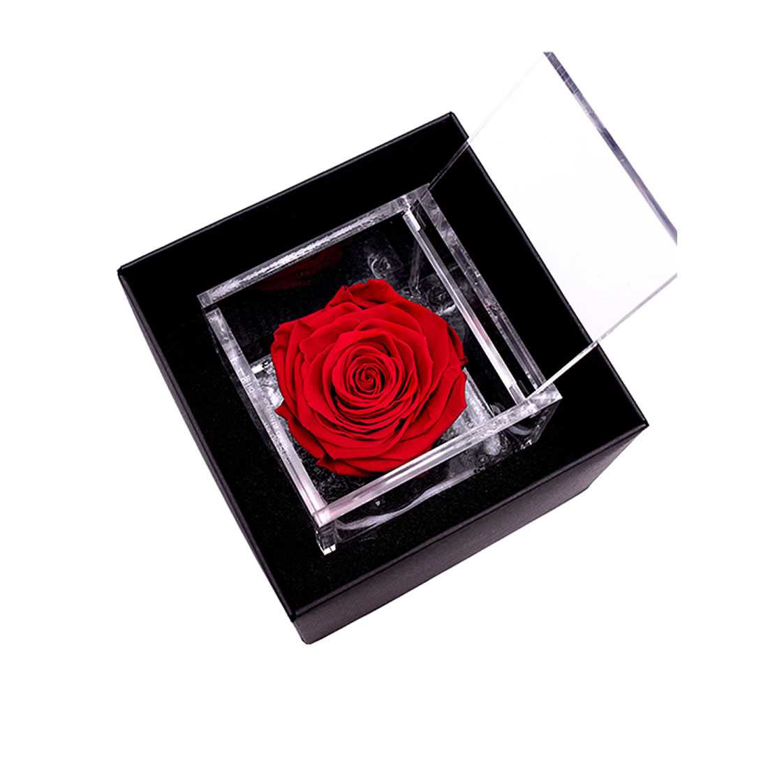 FlowerCube 10x10 cm shop online